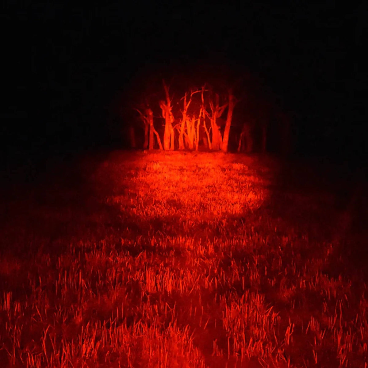 Woman Red Filter Lightforce Striker 170mm Red Filter – Holt's Gun Shop